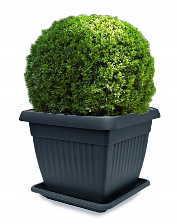 

Donica Duża Ogrodowa Taras Kwadrat Podstawka 37x37