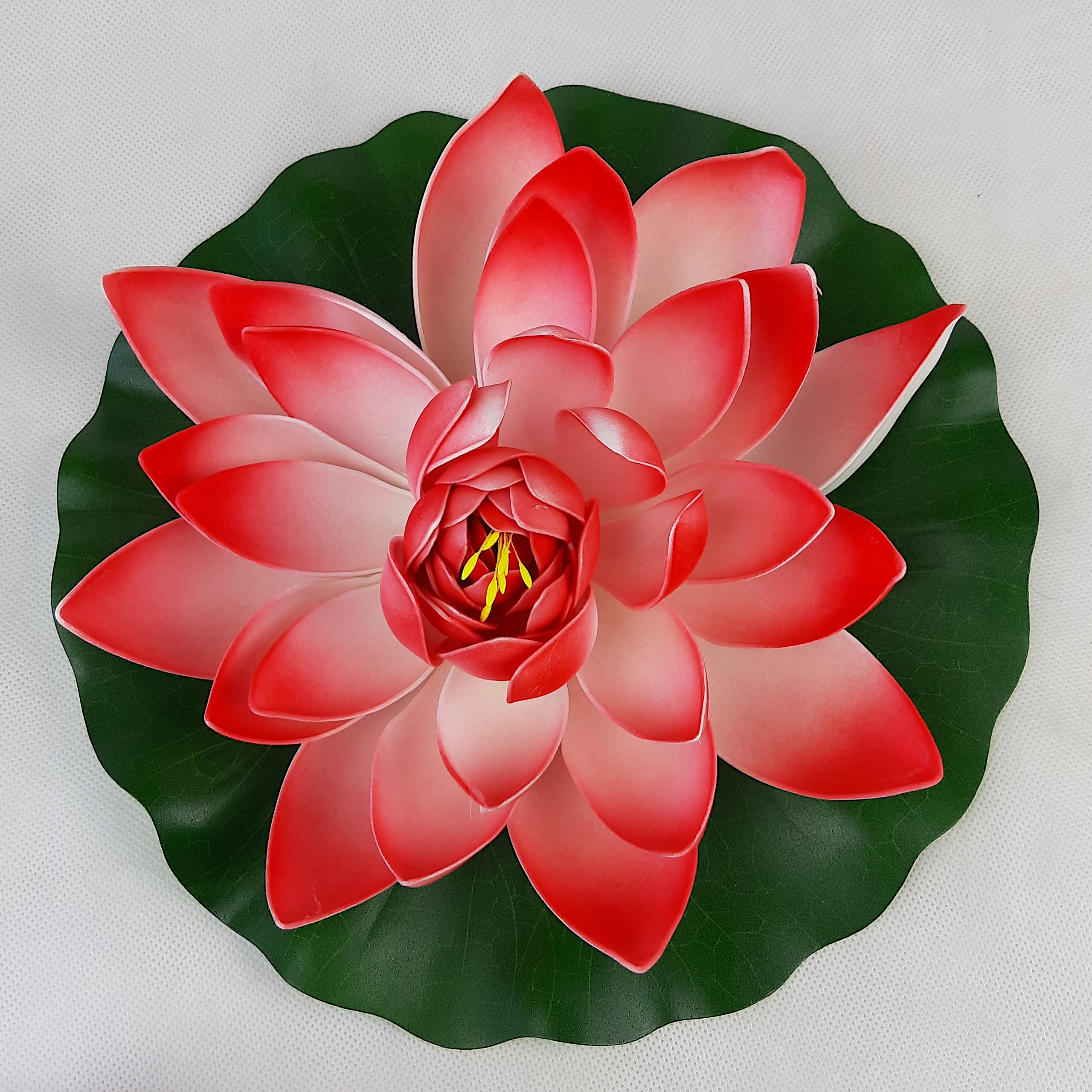 LILIA WODNA PŁYWAJĄCA BIAŁO CZERWONA DUŻA 30 cm EAN (GTIN) 5908305365464