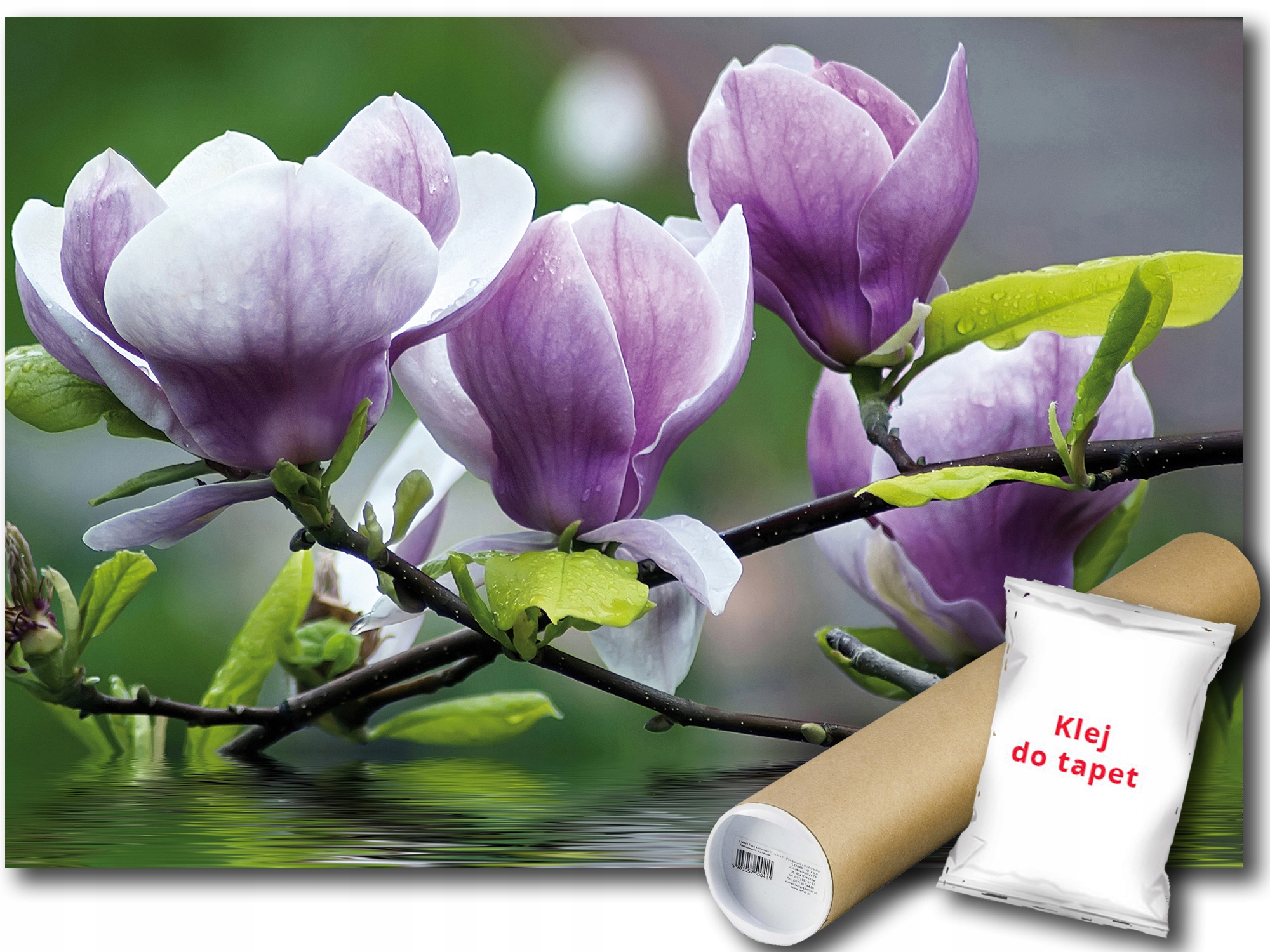 Fototapeta Magnolie Květiny 9E F2XL 312x219 F160