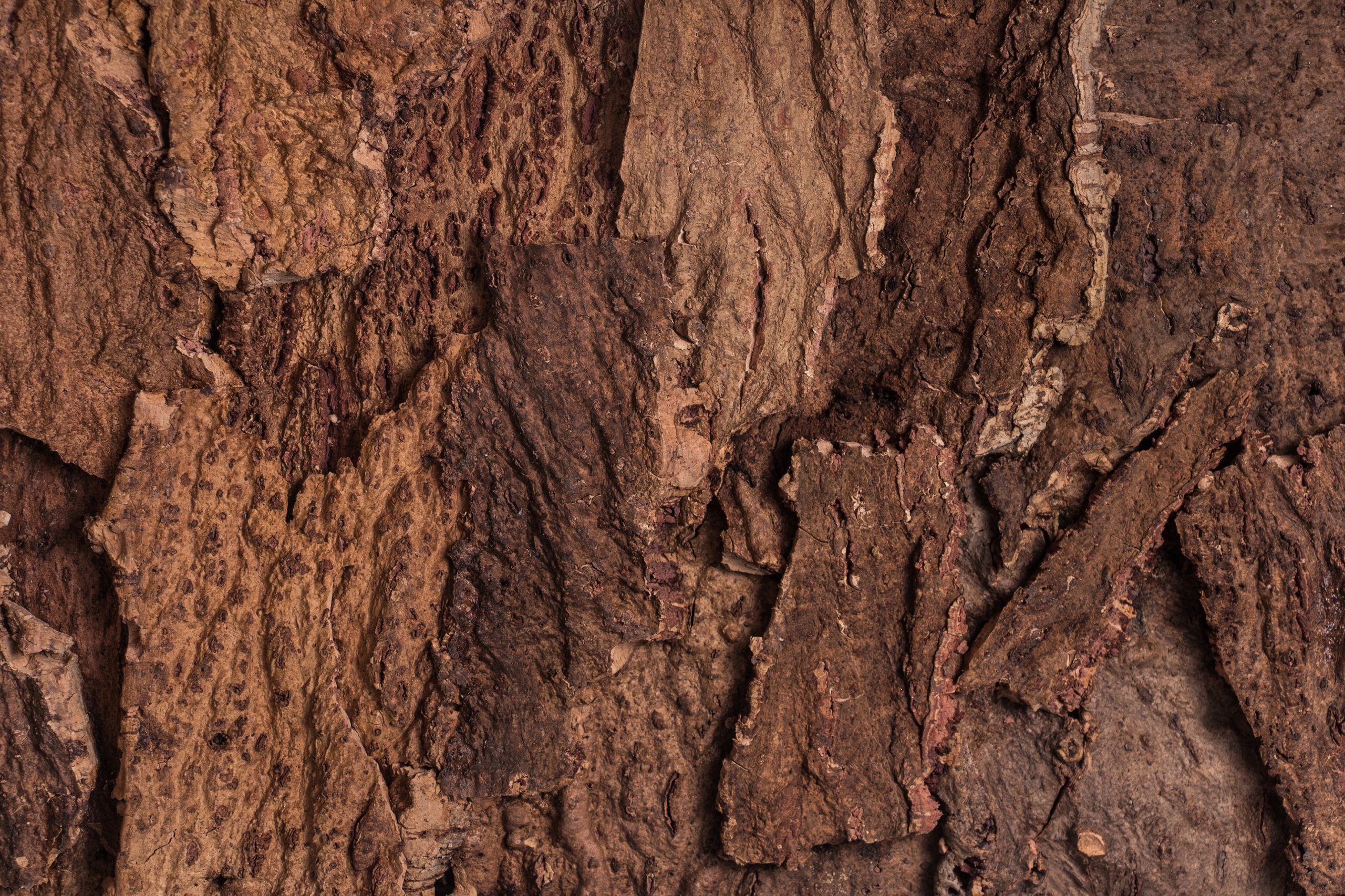 Płyta korkowa ścienna dekoracyjna RIVER 600x300x25mm