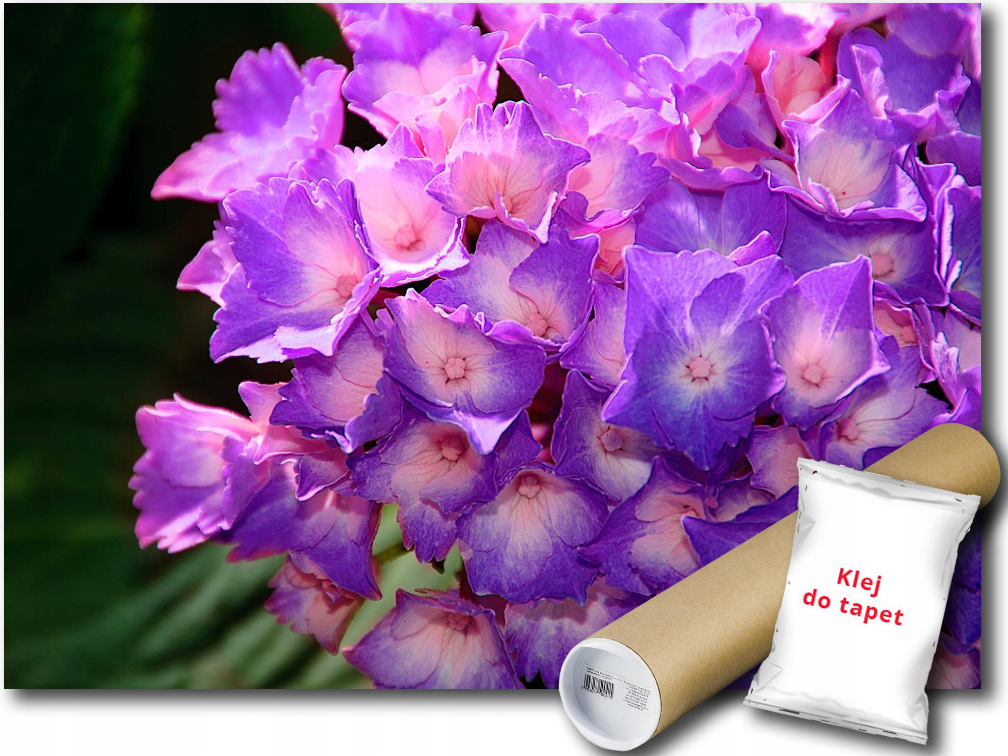Fototapeta Fialové Květiny 9E V8 368x254 F1563