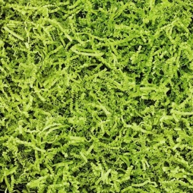 Wypełniacz Papier Ozdobny SizzlePak Limonka 10 kg