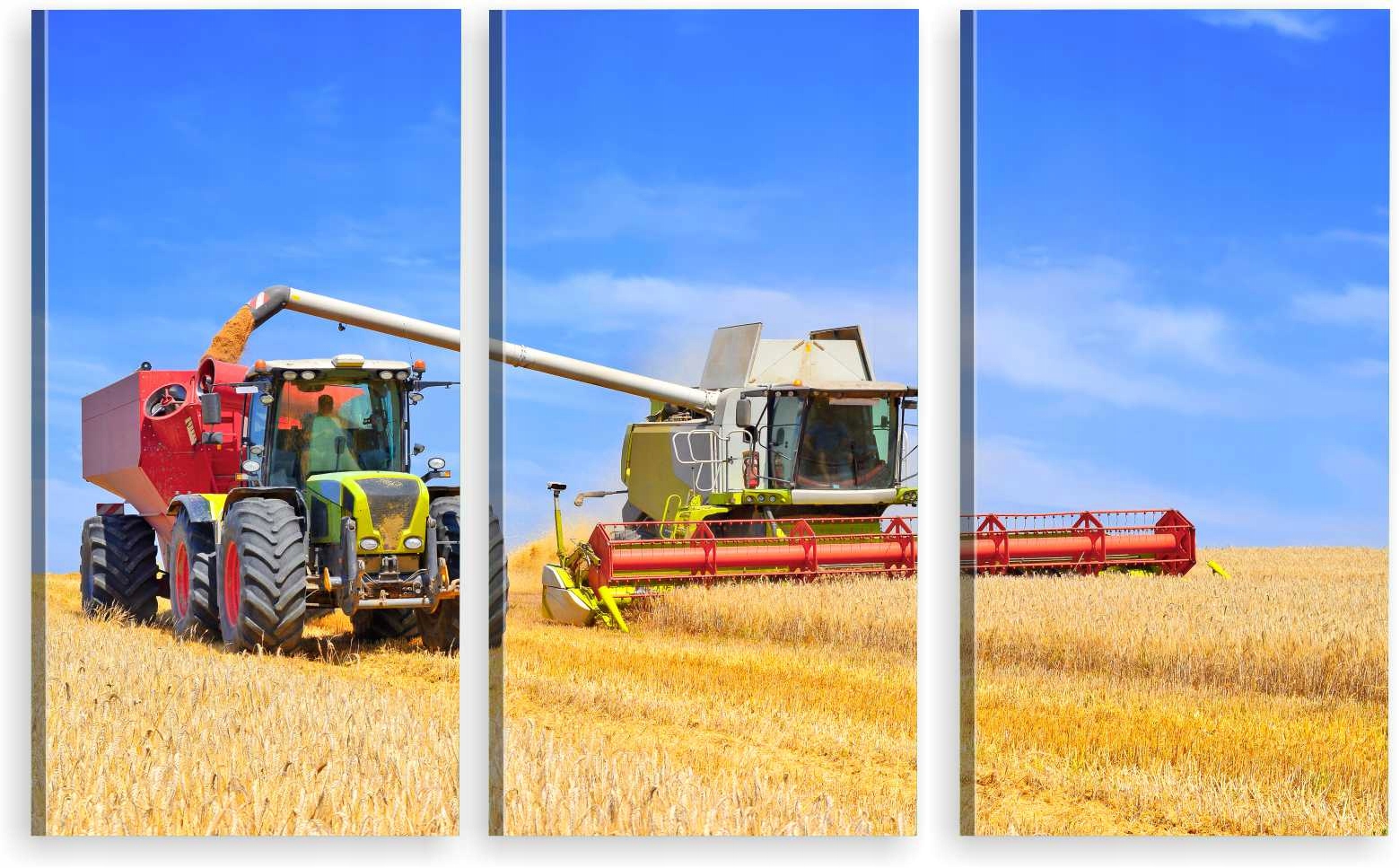 

Tryptyk Obraz Na Ścianę Pole Kombajn 980 Wzorów