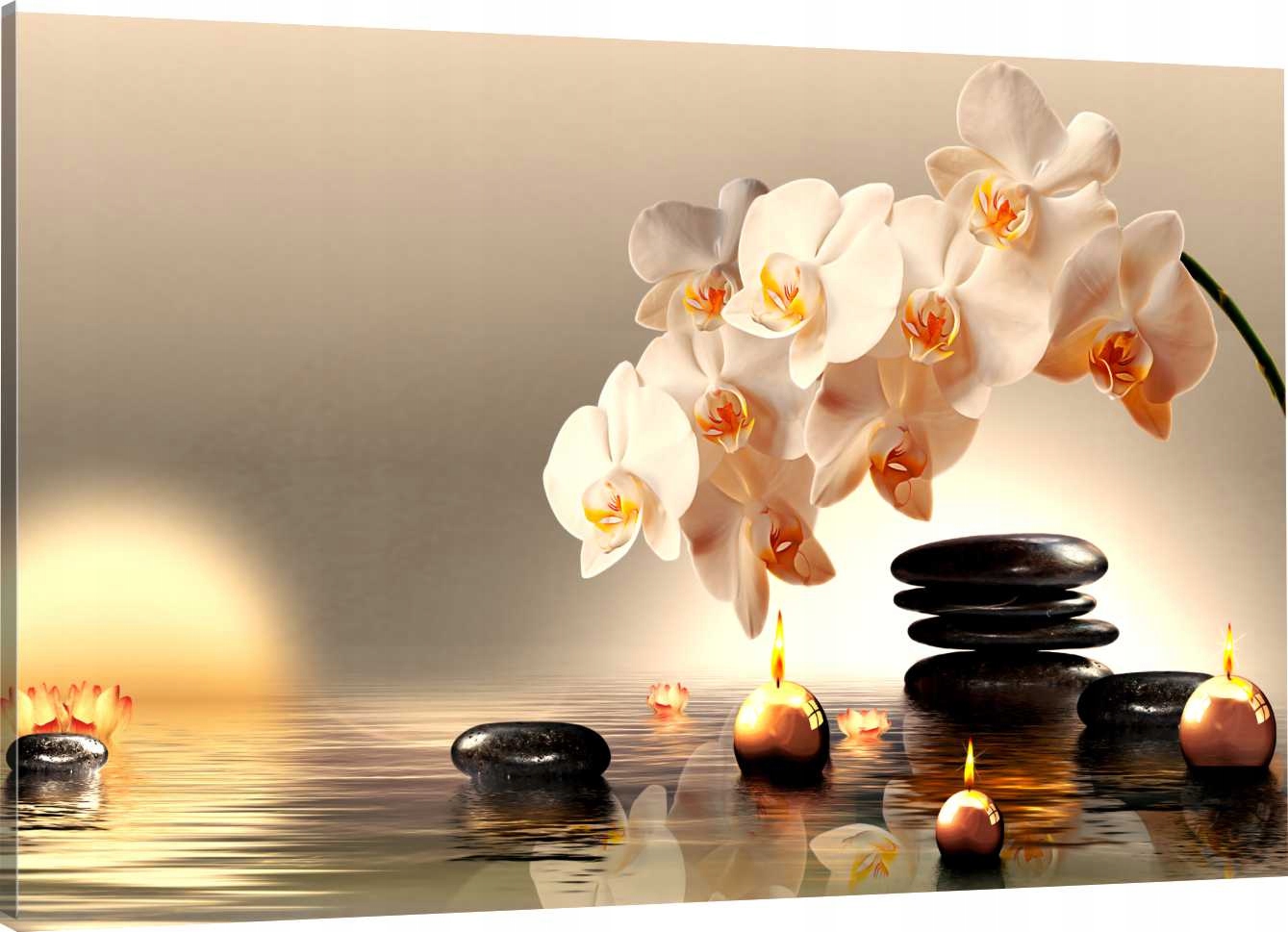 

Obraz Na Płótnie Biała Orchidea 70x50 800 Wzorów