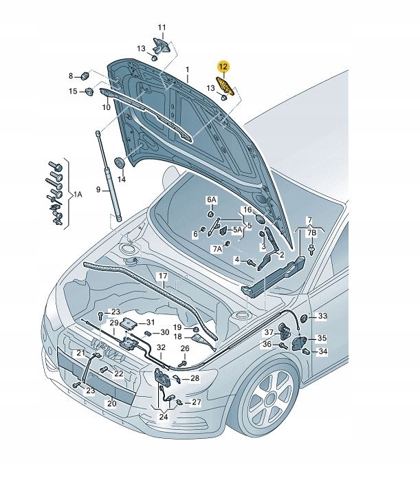 8V0823186C - Болт замок капота переднее ухо AUDI A3 8V правый ASO