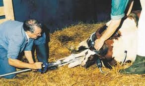 Wycielacz Vink ze zmiennym naciągiem 180cm HIT !!! Marka Vink