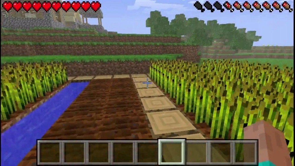 MINECRAFT PSP pełna wersja Producent inny