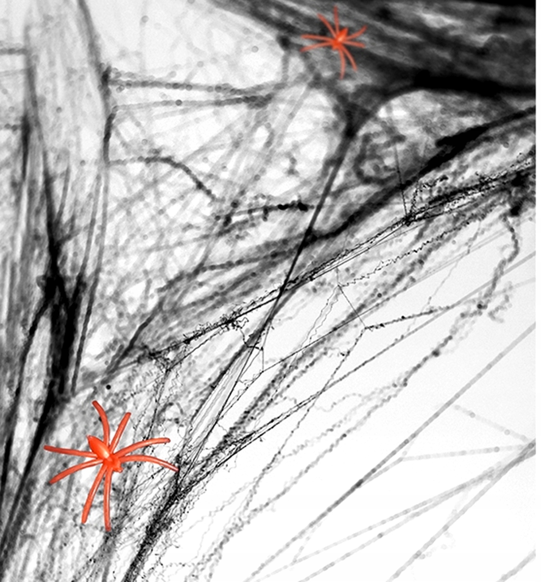 Umělá Pavučina Černá Halloween Dekorace Ozdoba Pavoučí Síť Pavouci