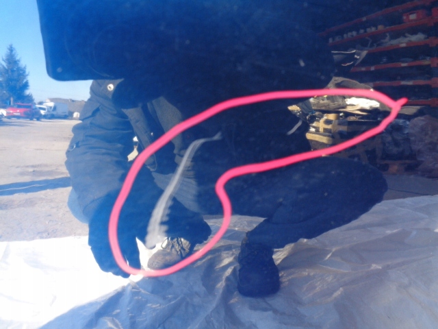 KADJAR DRZWI PRAWE TYLNE TYL PERTR Kolor niebieski