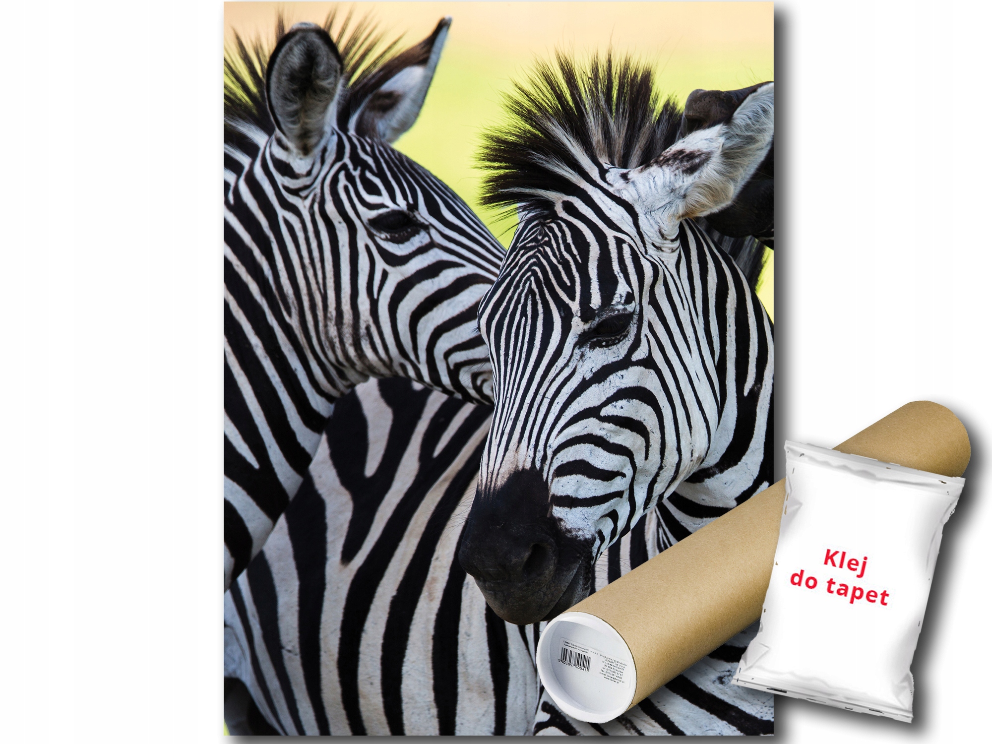 Fototapeta Zebra Zebra 12C Panxl 206x275 F20313