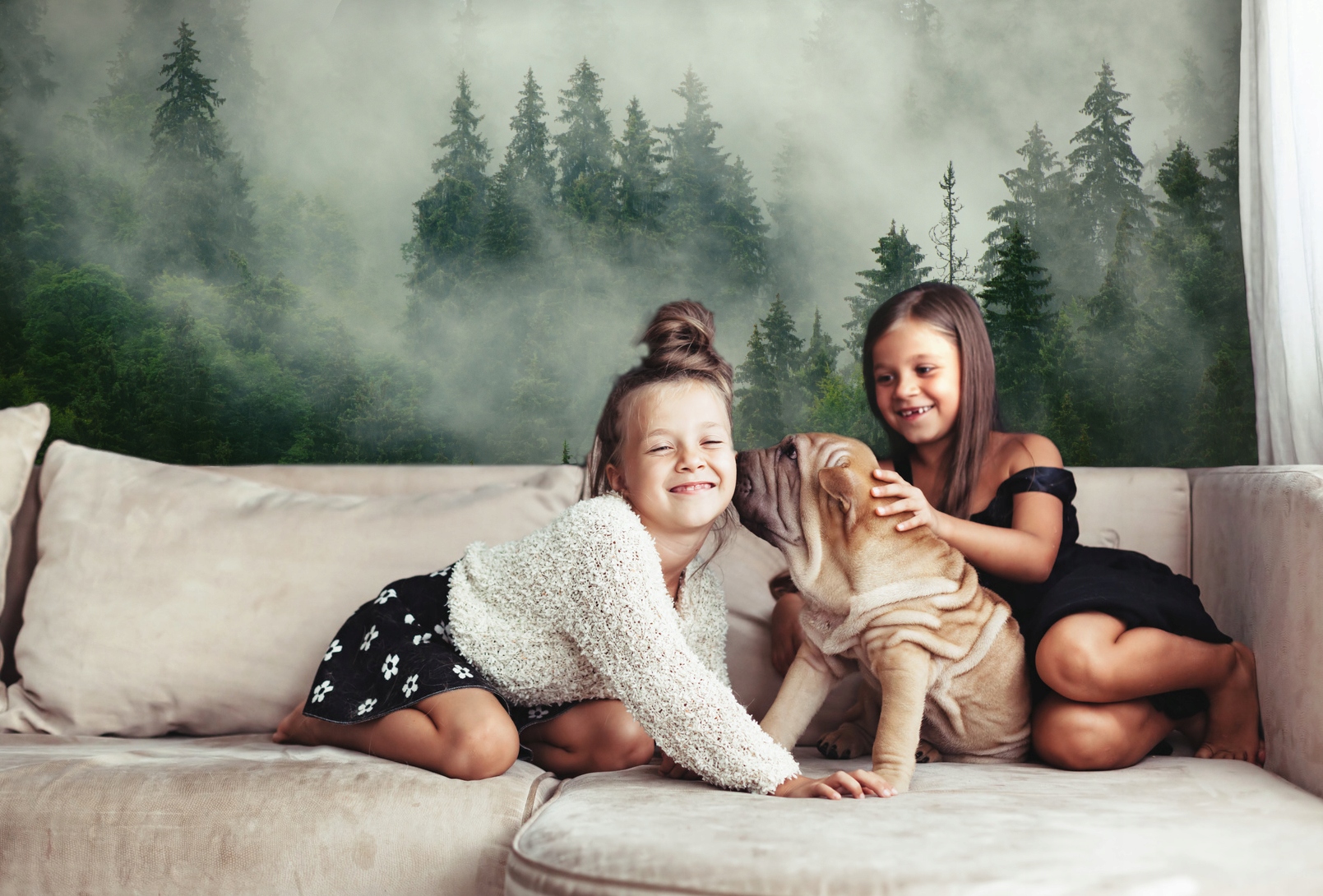 Fototapeta las we mgle Kod producenta 6014