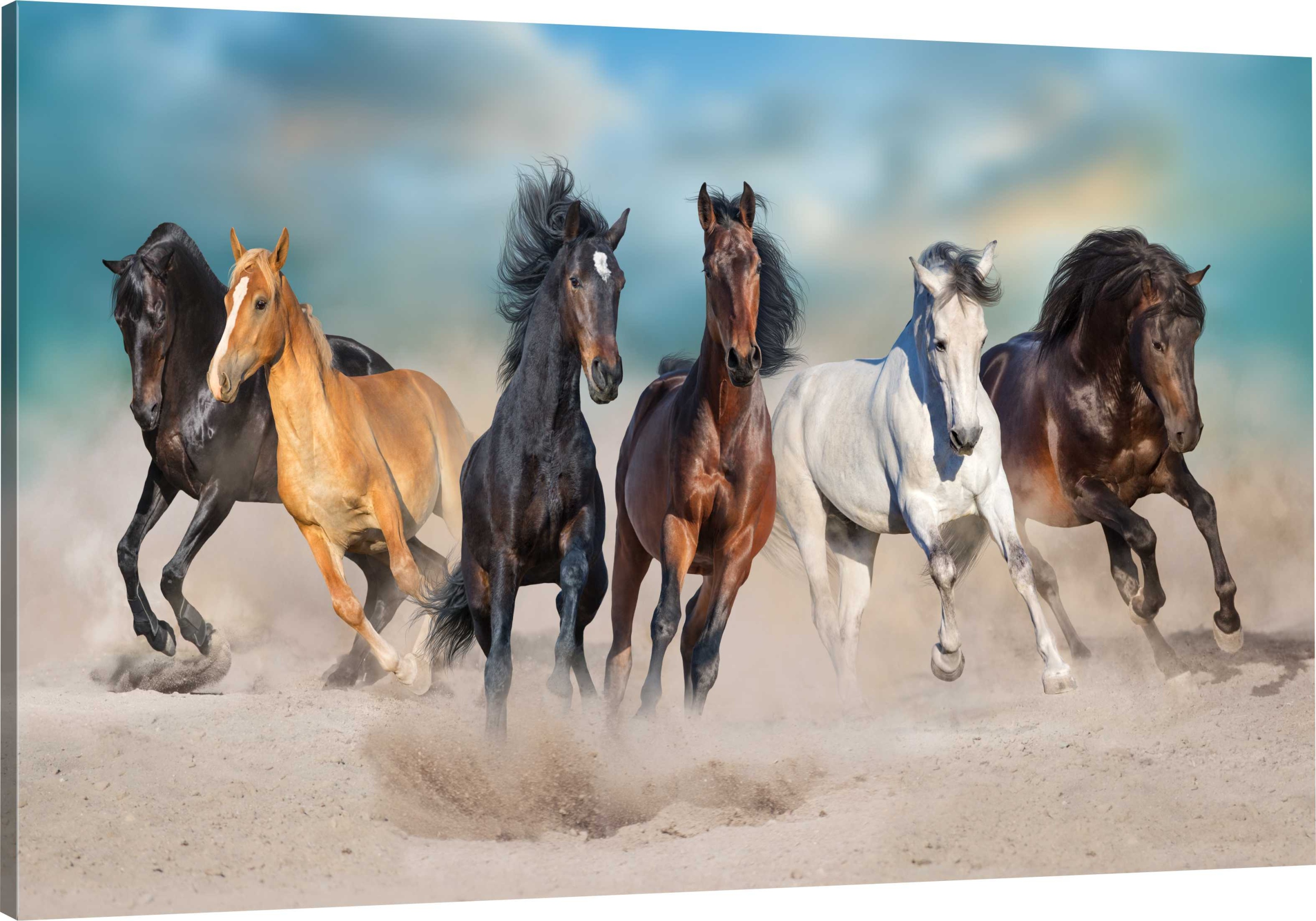 

Obraz Na Płótnie dzikie konie 100x70 canvas wybór