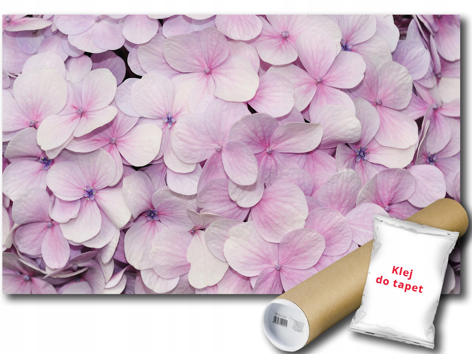 Fototapeta Hortenzie Květiny 9E F3XL 416x254 F3103