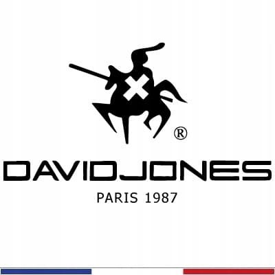 DAVID JONES PARIS BRĄZOWA TOREBKA KUFEREK Płeć kobieta