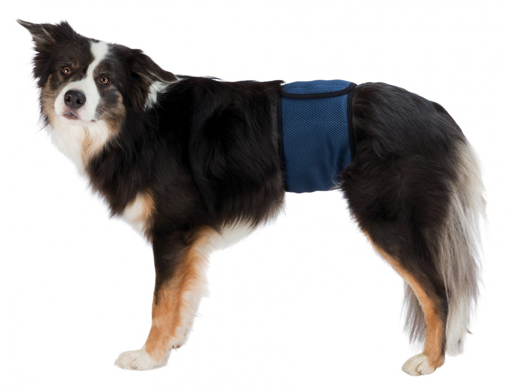 

Trixie Pieluchy Pampersy Dla Psów XL 65 75cm 23665