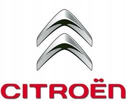 WAHACZE ZESTAW ZAWIESZENIE CITROEN C5 III 2008- Producent części Inny