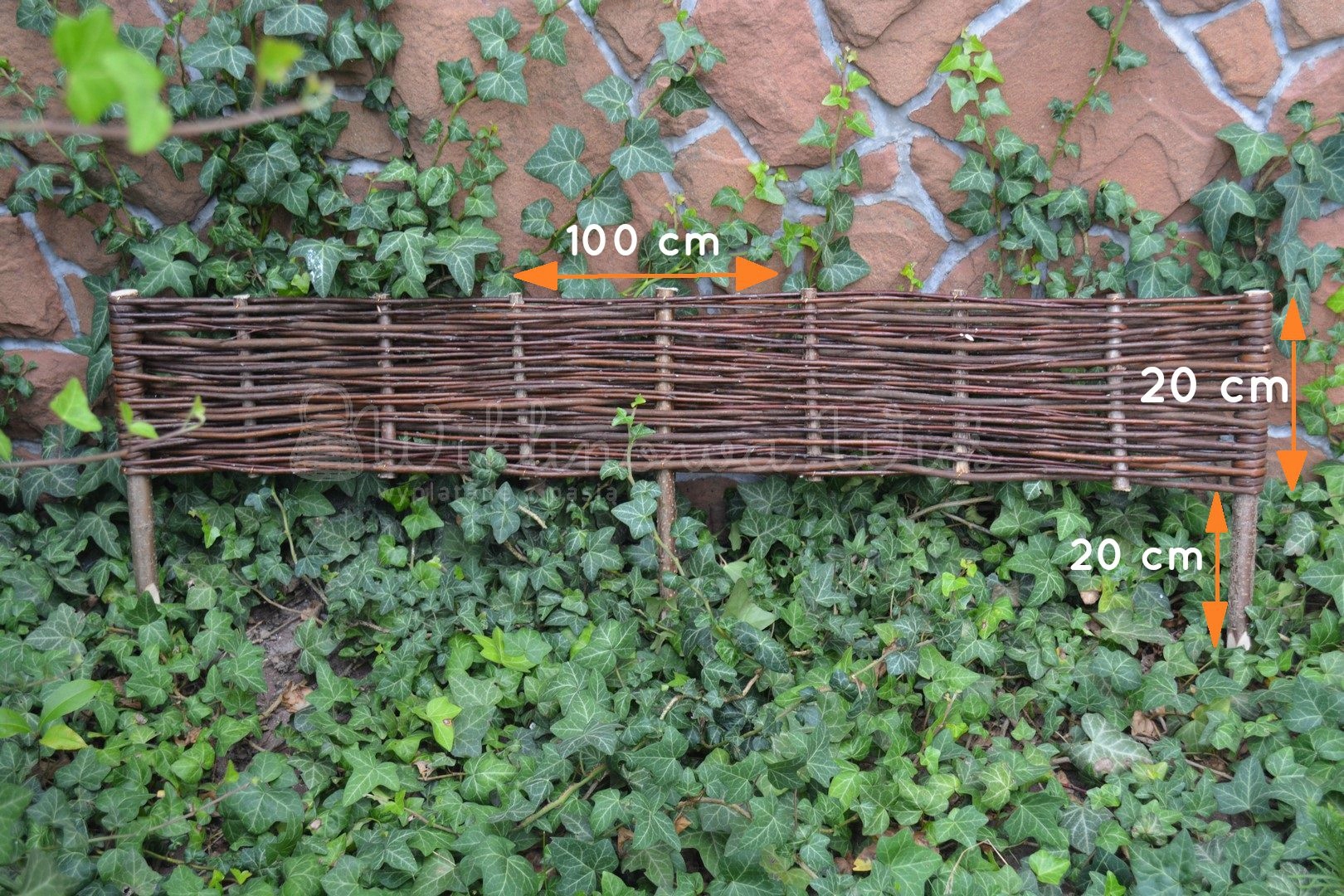 PALISADA WIKLINOWA 20/100 płotek obrzeże z wikliny Kod producenta mny563
