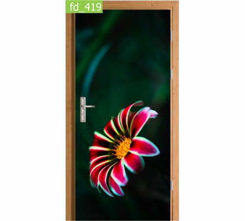 

Fototapeta Naklejka na drzwi Natura Kwiat Czerwony