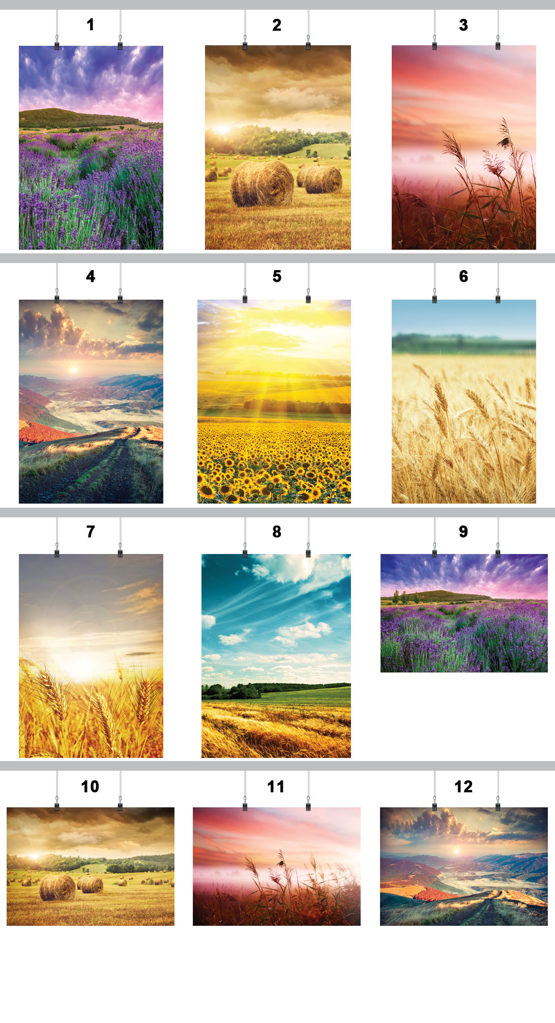 PLAKAT POLE KRAJOBRAZ 90x60 CM 16 WZORÓW MATOWY Marka inna