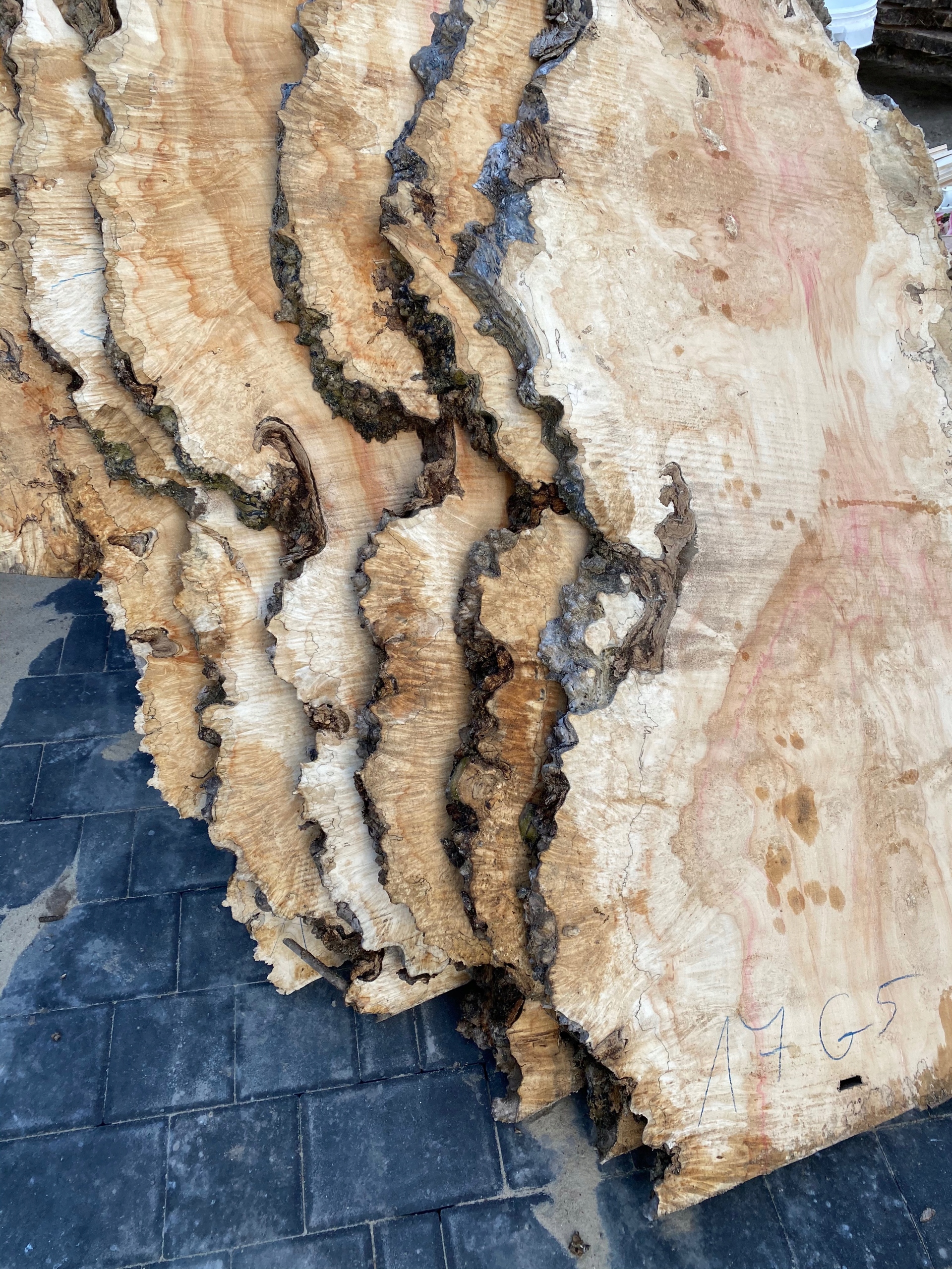 DREWNO JAWOR CZECZOT MONOLIT POD ŻYWICĘ Szerokość mebla 80 cm