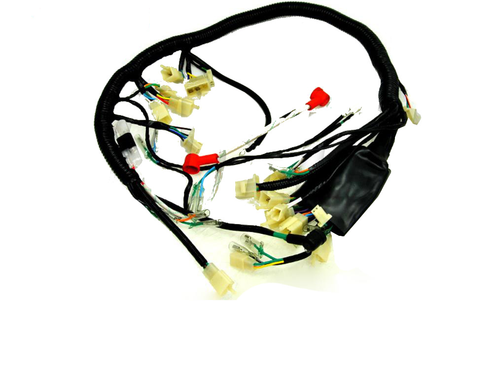 Bashan 200 250,ATV,QUAD Loncin Eagle Lyda - Instalacja Elektryczna Producent inny