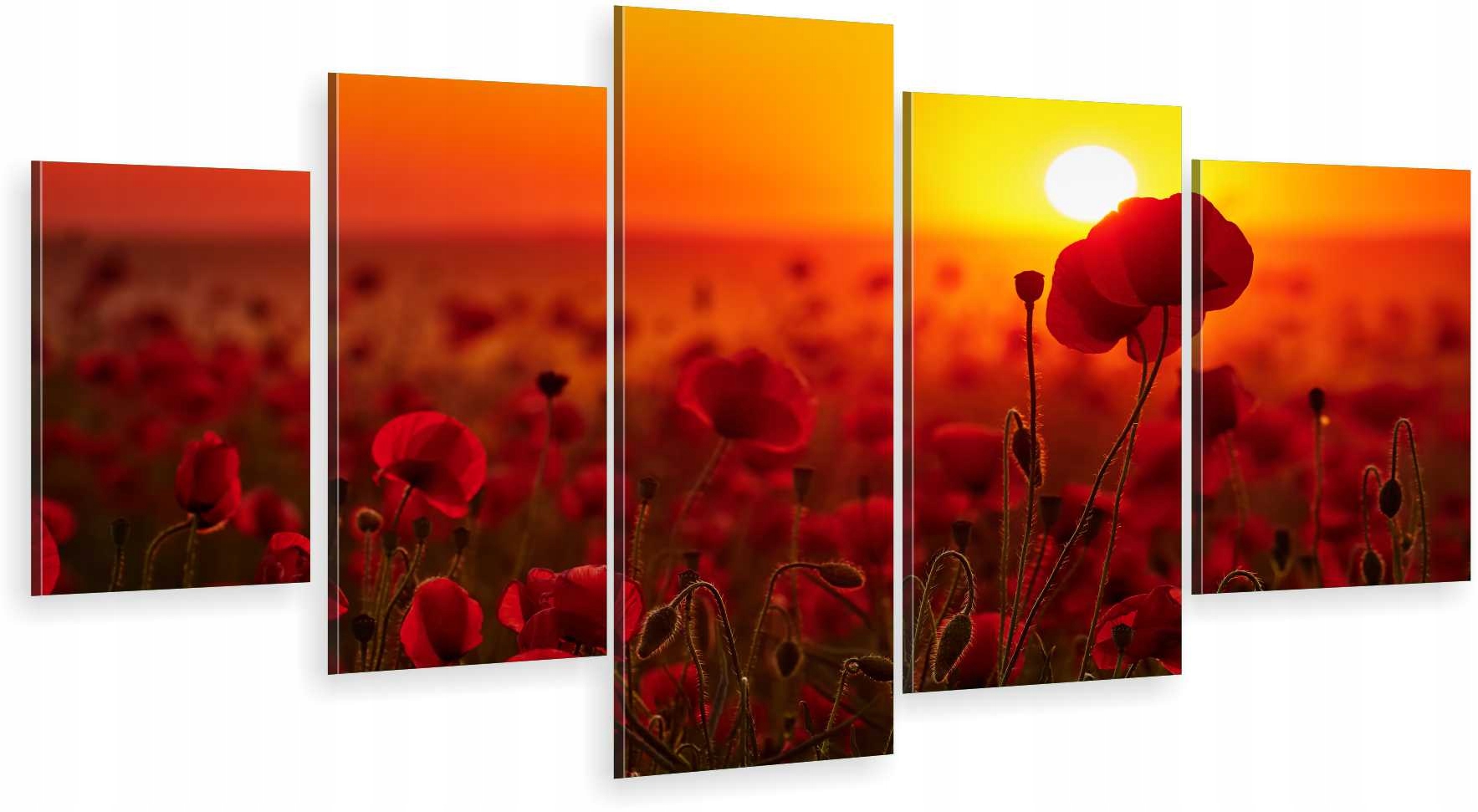 

Tryptyk 5-CZĘŚCI Na Ścianę Do Kuchni Jadalni Maki