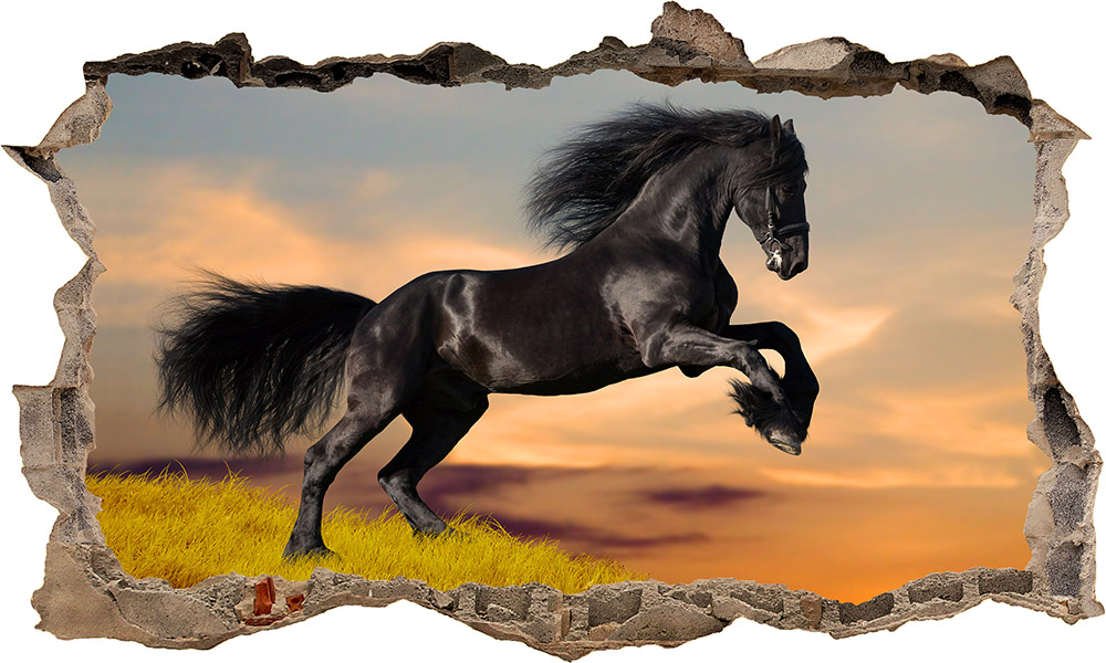 Naklejka KOŃ KONIE 3D XXXXXXXXXXXXXL 166cm x 100cm Długość 166 cm