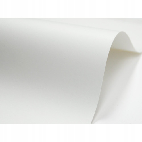 Papier ozdobny Bio Top 3 - Next 100 ark. A4 90g