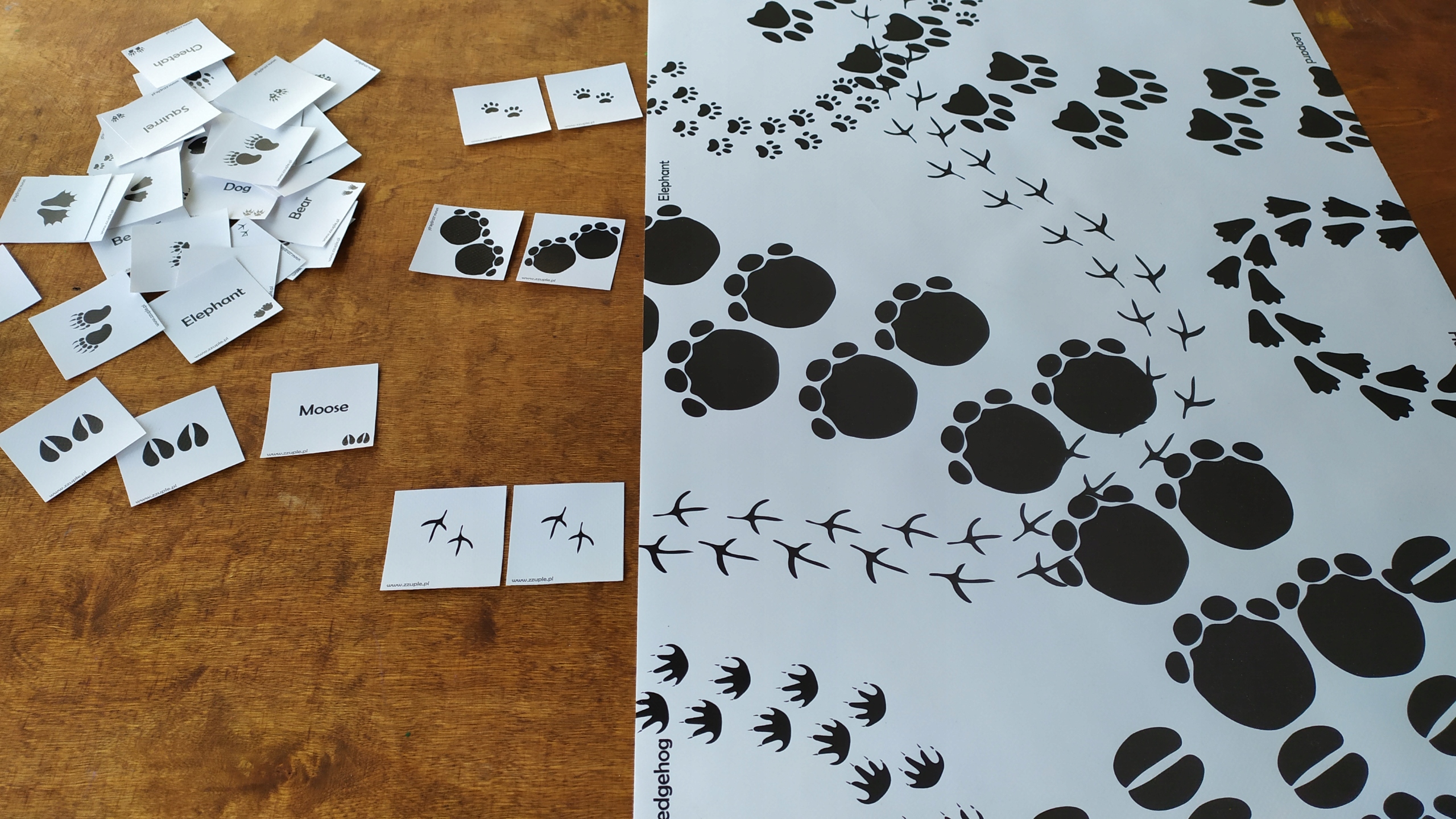 Footprints. Animals. Angielskie słowa. Mata i memo Wydawnictwo inne