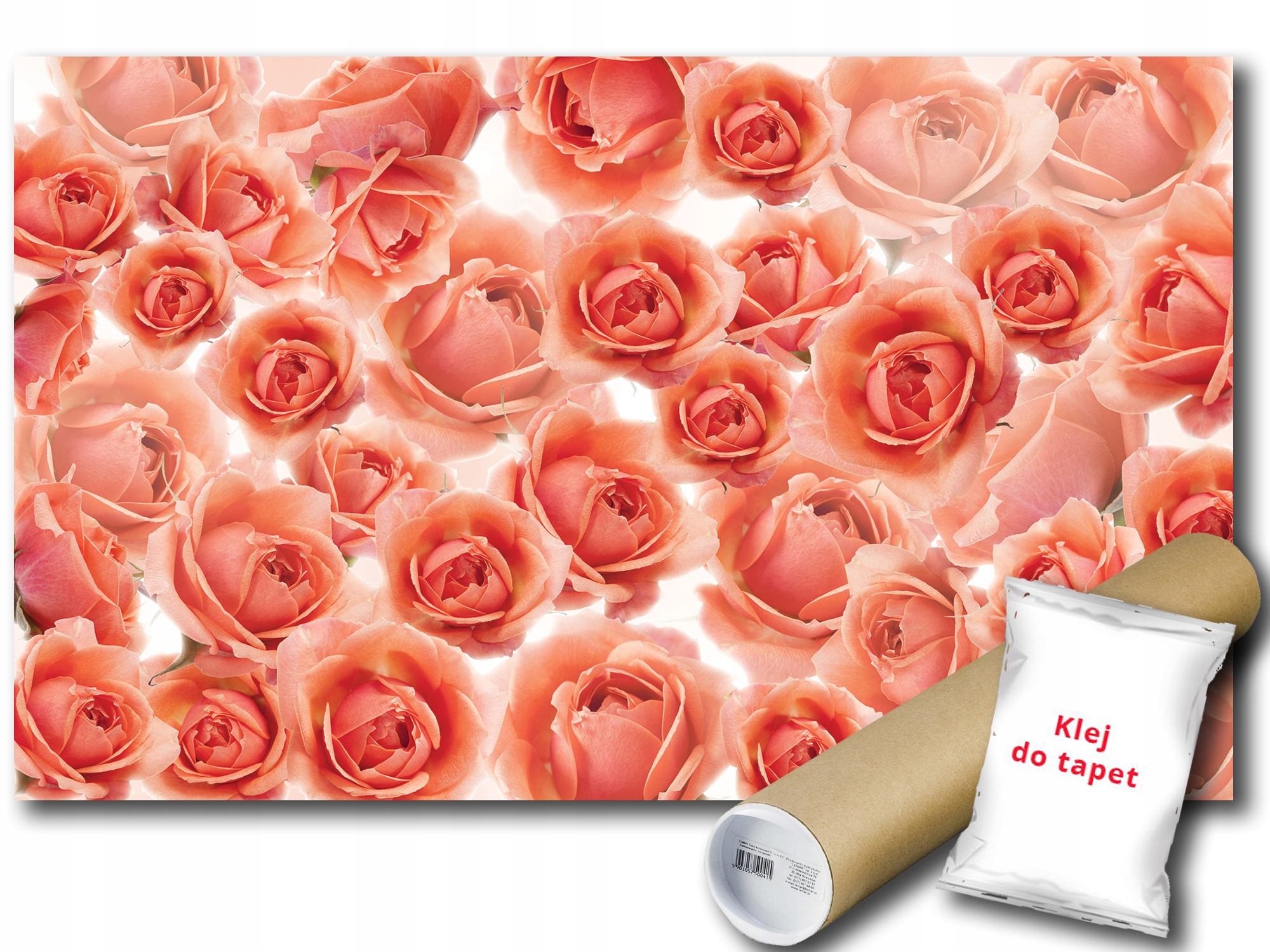 Fototapeta Růže Květiny 9B V4 254x184 F3321