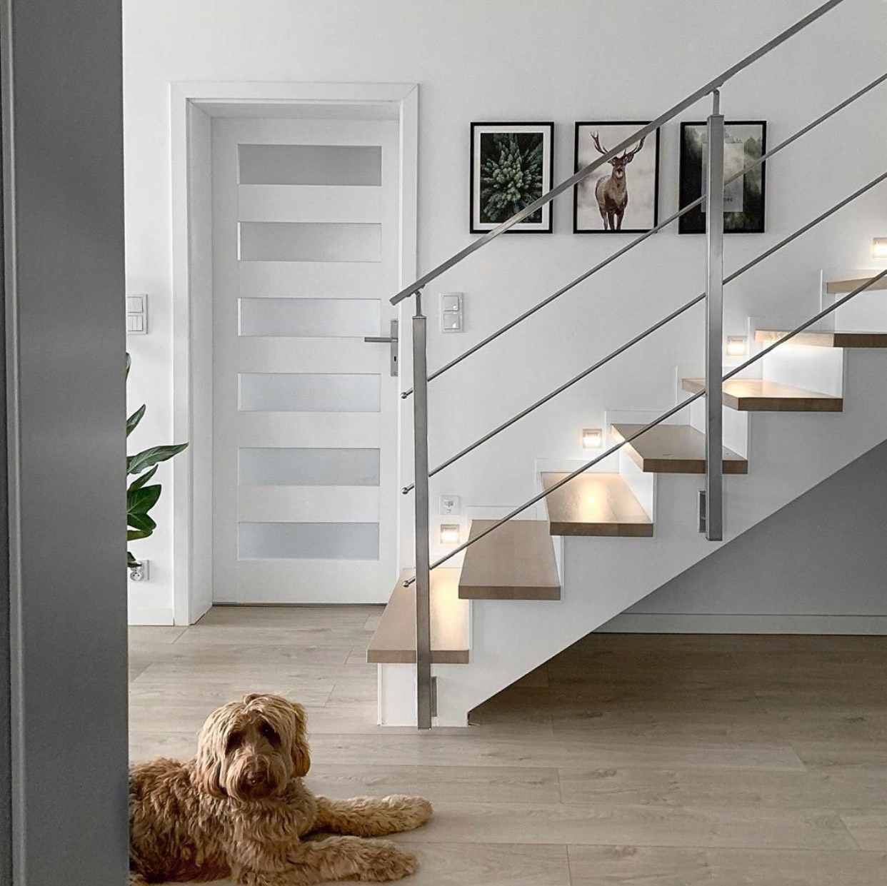 FUTRYNA REGULOWANA 8-10 KOLORY Rodzaj rozwierane