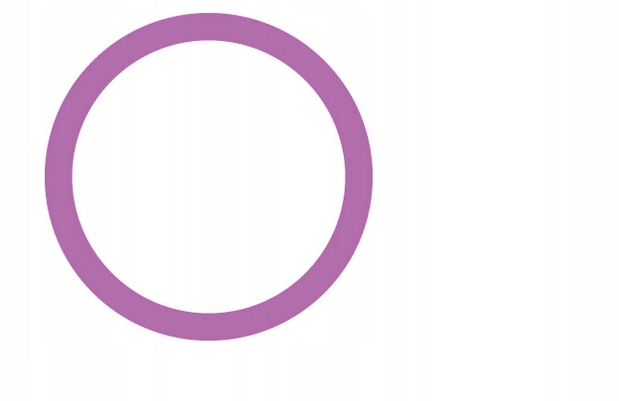 Oring 24 x 2,4mm VOLKSWAGEN