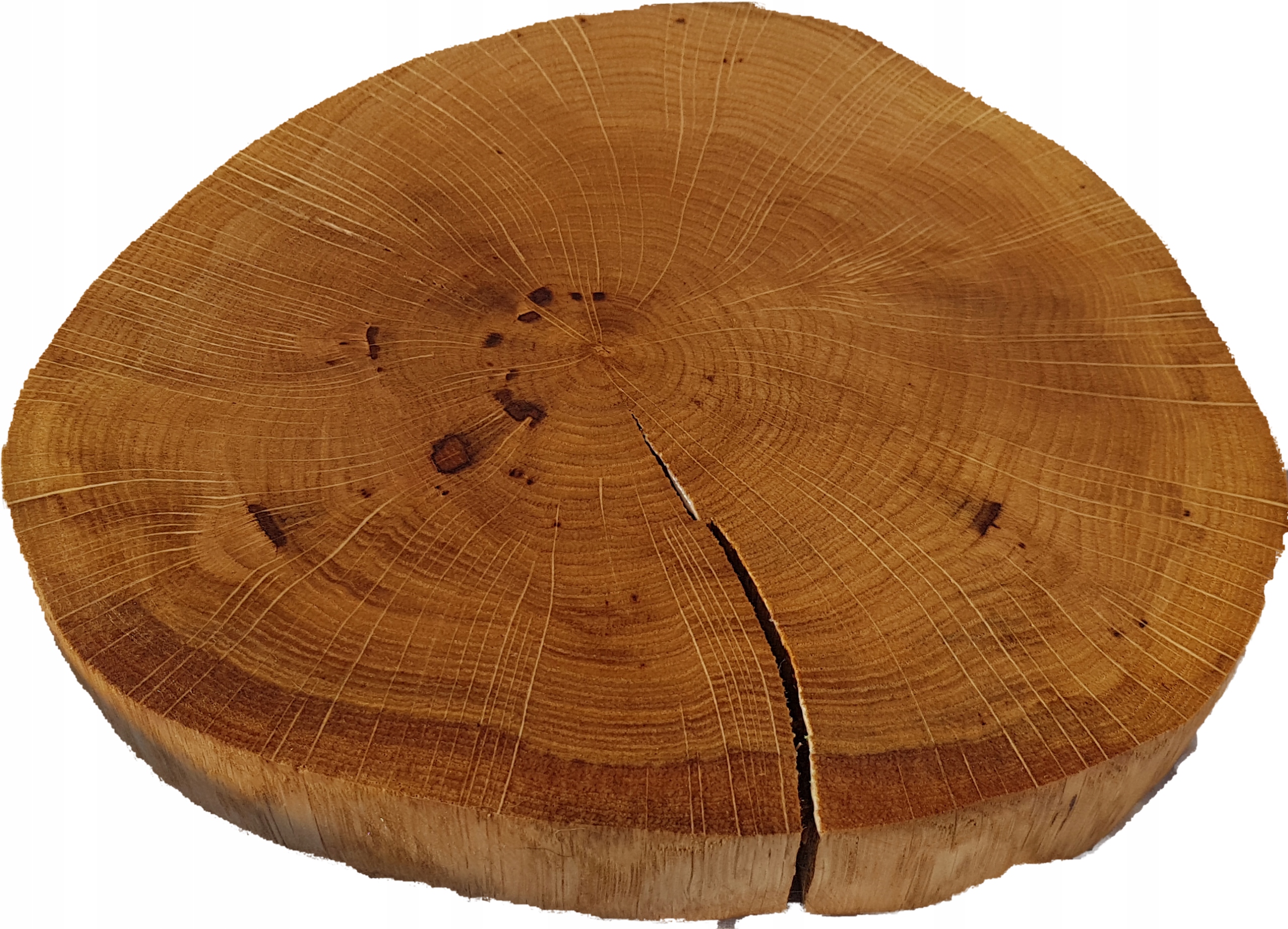 

Plaster drewna plastry drewniane Patera DĄB18-21cm