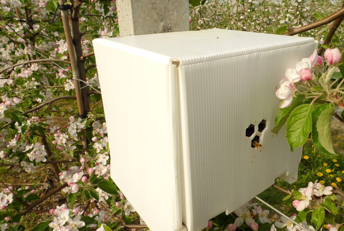 MINI UL - domek z gniazdami dla pszczoły Murarki Producent inna