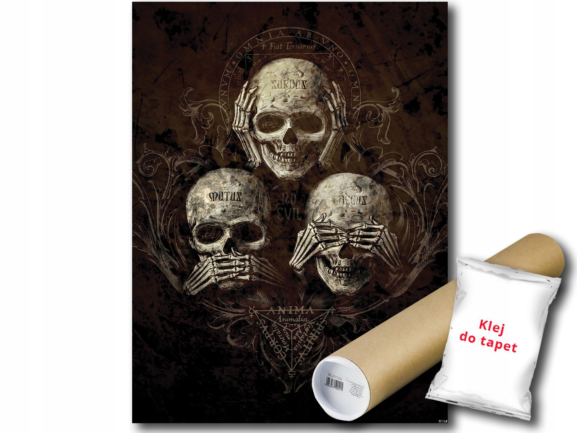 

Fototapeta Czaszki Czaszka 21A Panxl 206x275 F978