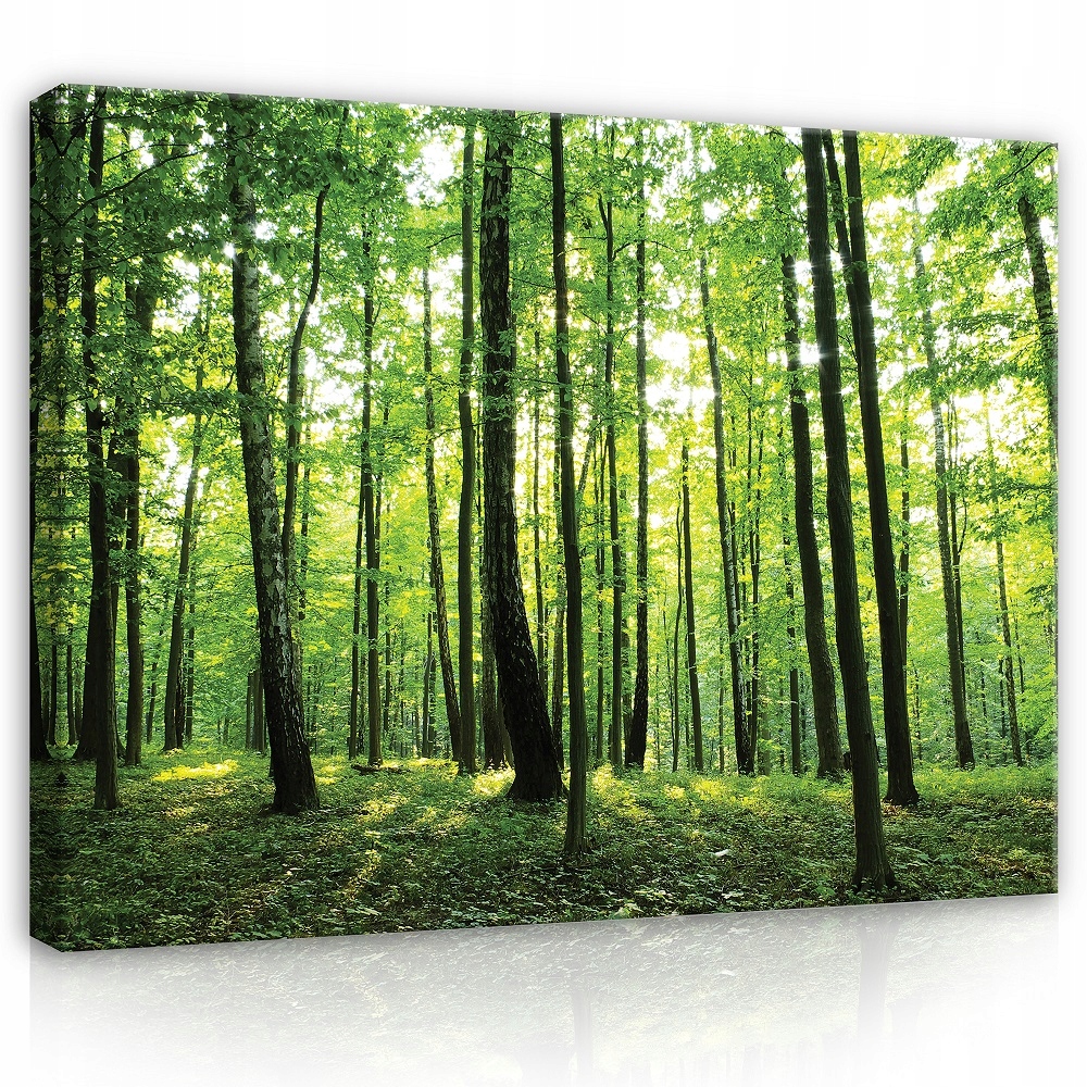 Obraz Les Příroda Zelené Stromy Na Plátně Stěna Ložnice Obývací Pokoj 100x70