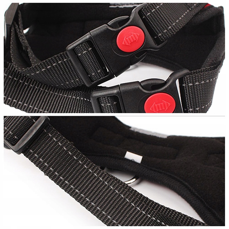 MOCNE SZELKI DLA PSA PSÓW różne KOLORY rozmiar L Marka Trader