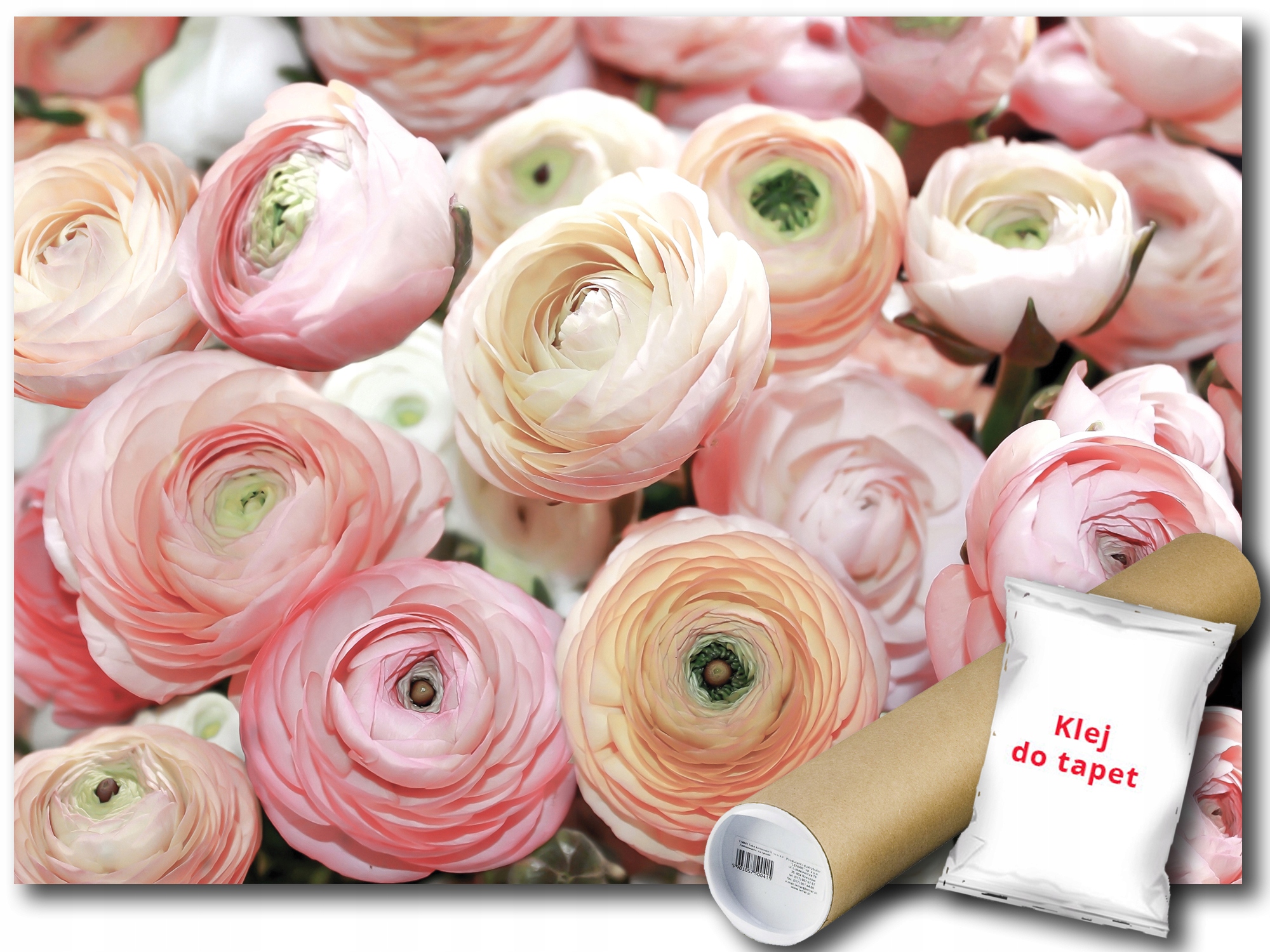 Fototapeta Růže Květiny 9B Fxl 208x146 F2297