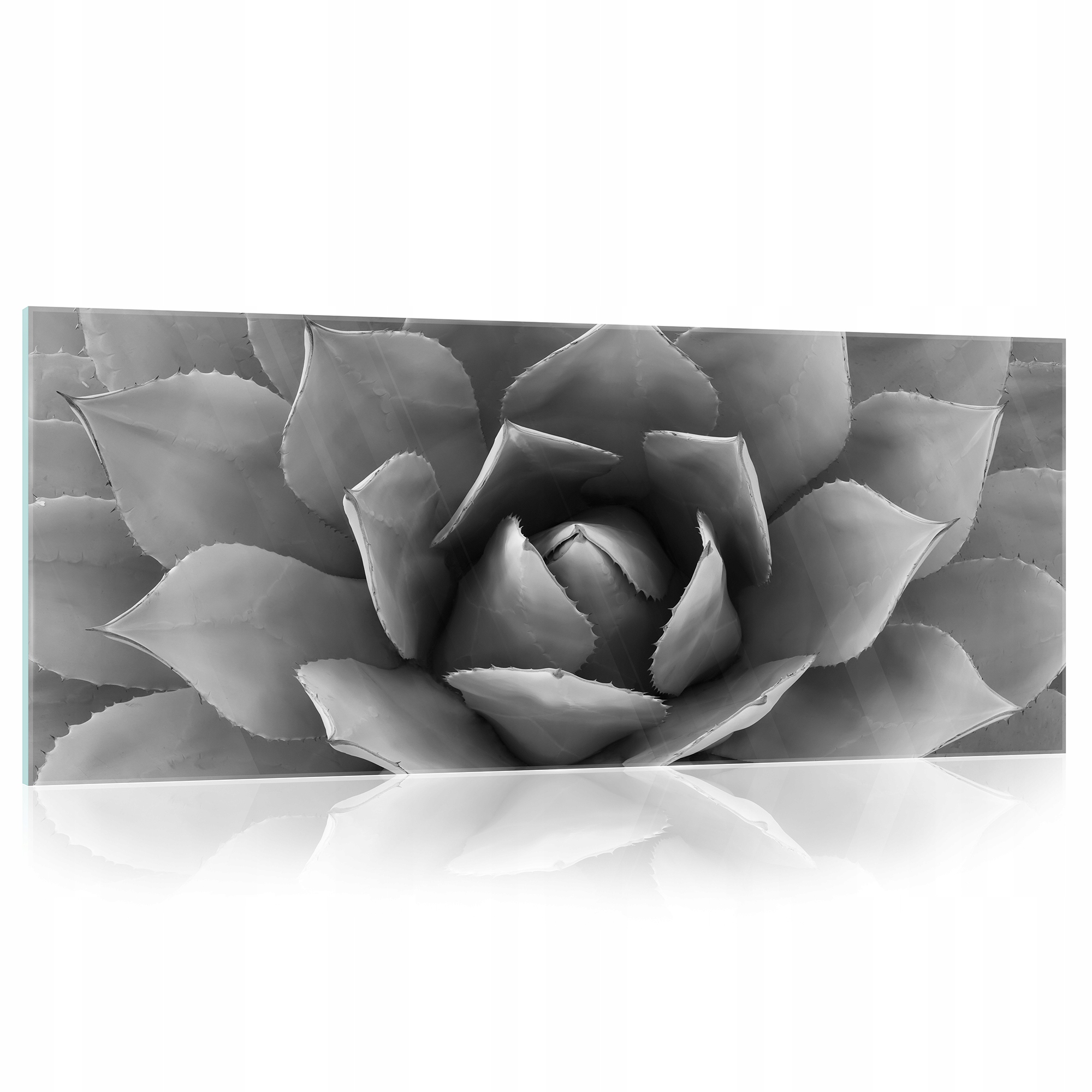 Obraz na skle Kvet čiernobiely 125x50