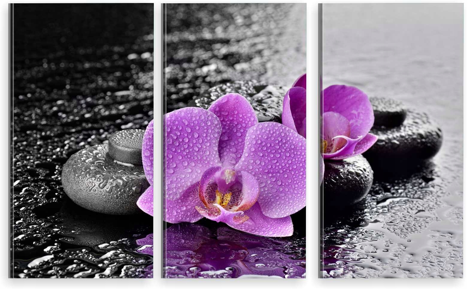 

Tryptyk Obraz Na Ścianę Fioletowy Storczyk 800 Wz