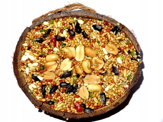 KARMA POKARM dla PTAKÓW zimująych przysmak w KOKOSIE DO POWIESZENIA ZIARNO