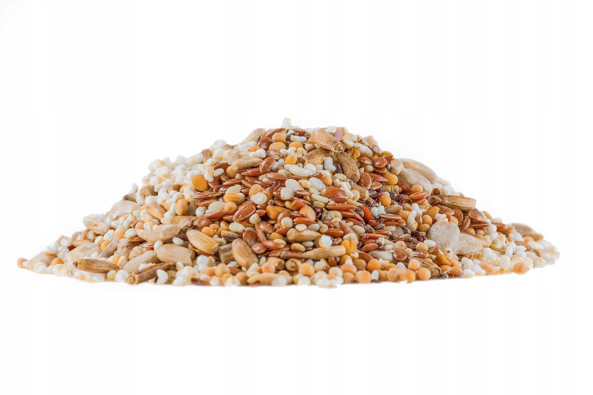 

Mrówki Messor barbarus nasiona do formikarium