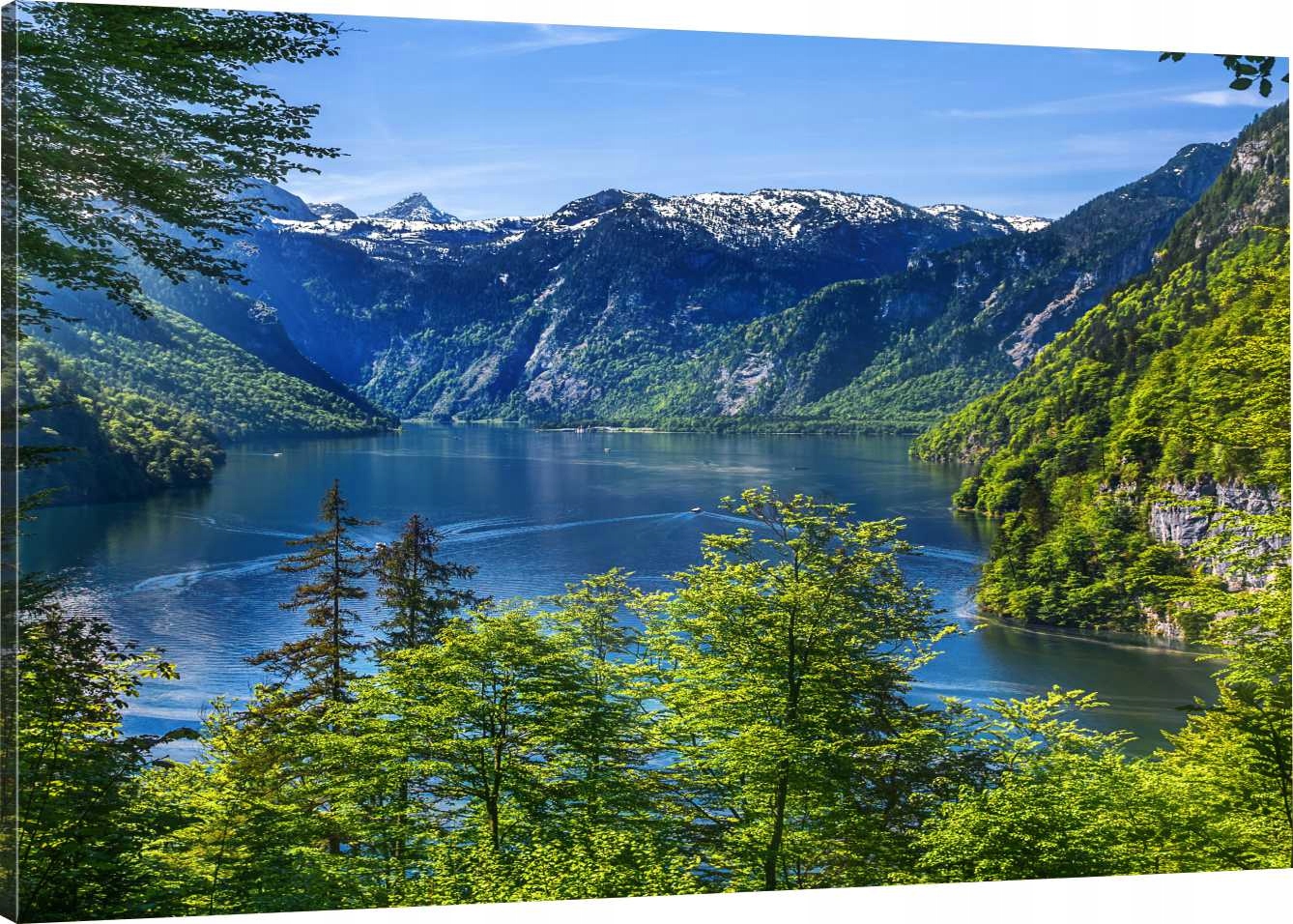 

Obraz Na Płótnie Alpy Drzewa 110x70 800 Wzorów