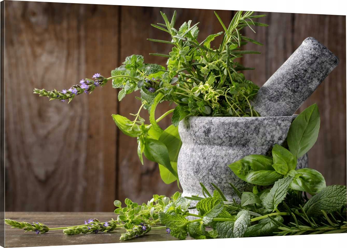 

Obraz Na Płótnie Do Kuchni Zioła 70x50 980 Wzorów