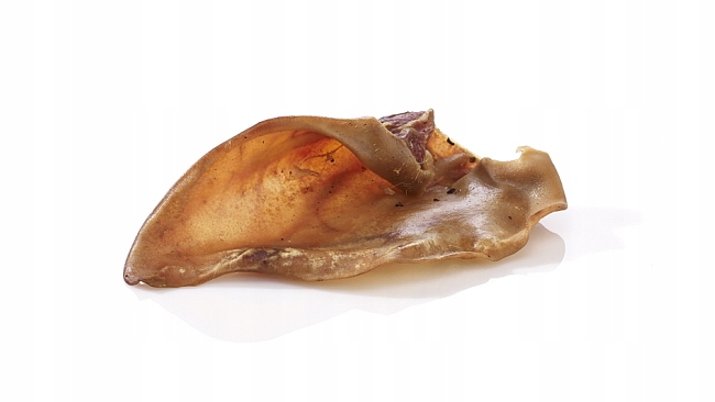 

Duże Ucho Wieprzowe Wędzone i Suszone Dla Psa