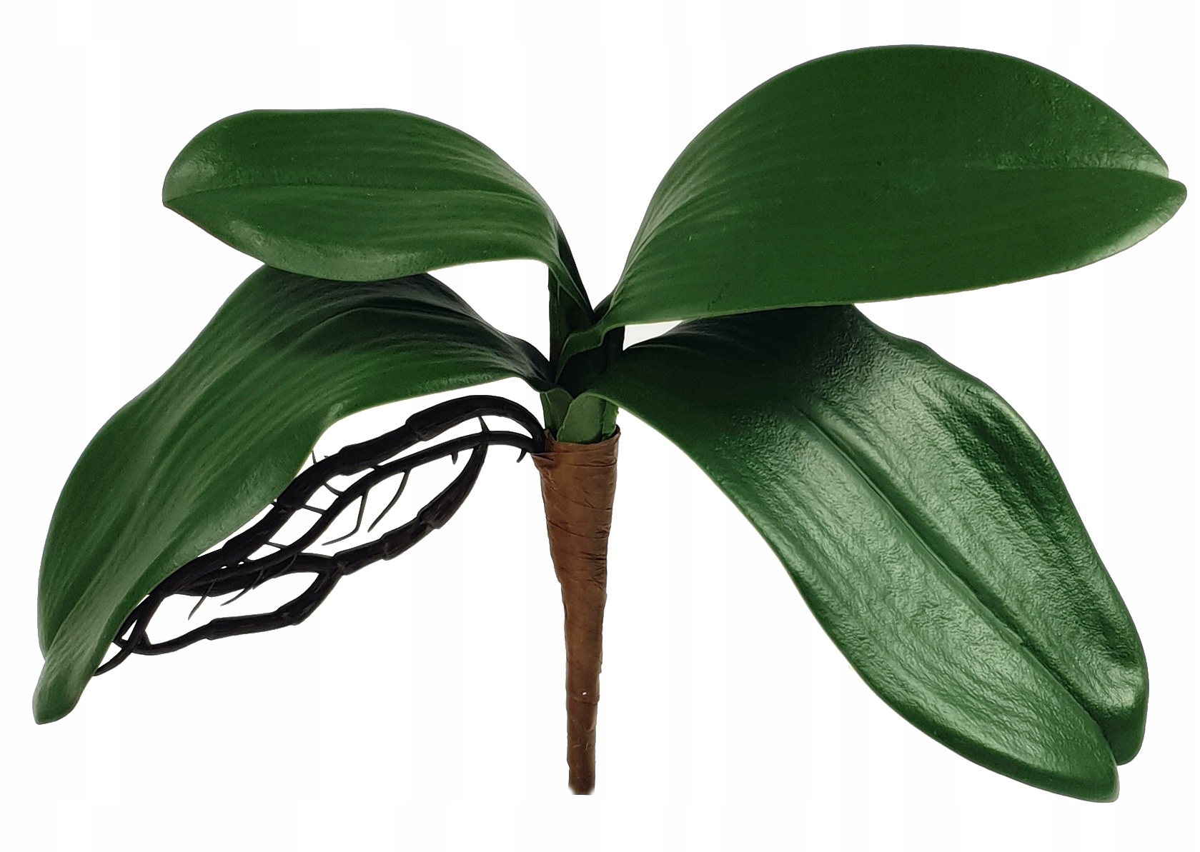 LIŚĆ STORCZYK SYLIKONOWY LIŚCIE STORCZYKA GUMOWY Marka Madex