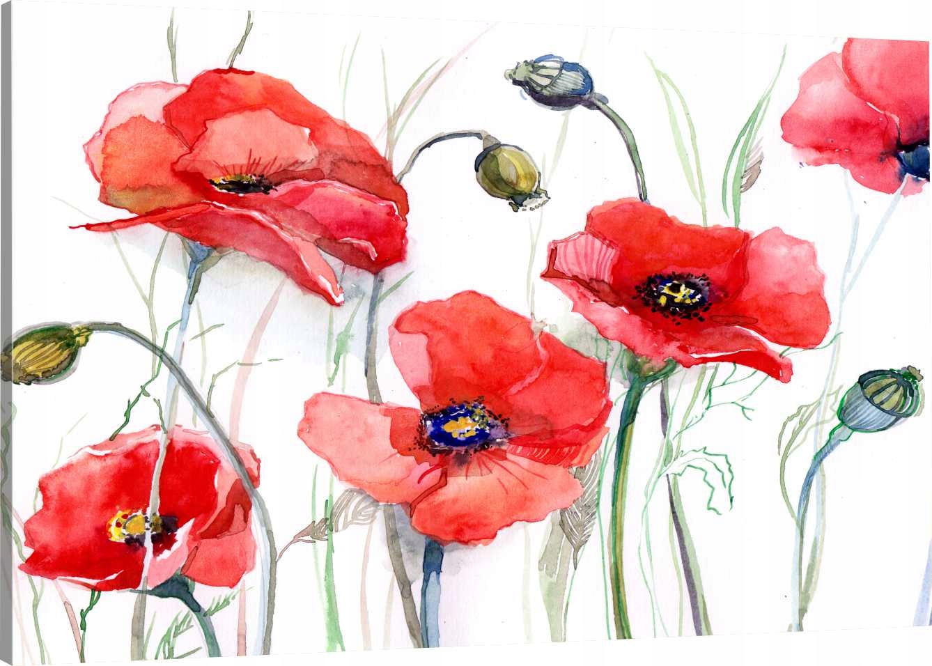 

Obraz Na Płótnie Malowane Maki 120X80 800 Wzorów