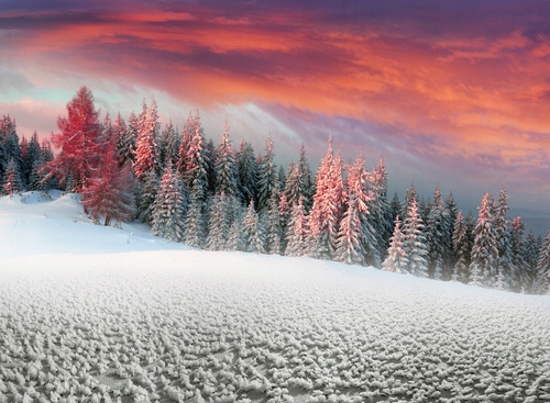 

Fototapeta 3D Mosty Krajobraz Góry Natura Drzewa