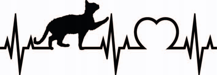 

Naklejka na auto samochód Kocham kota kot serce