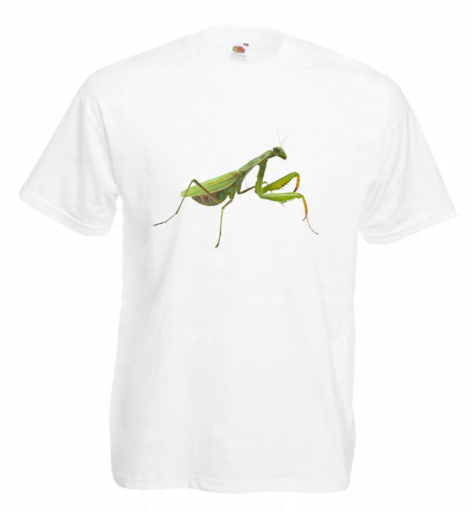 

Koszulka męska Modliszka r XL